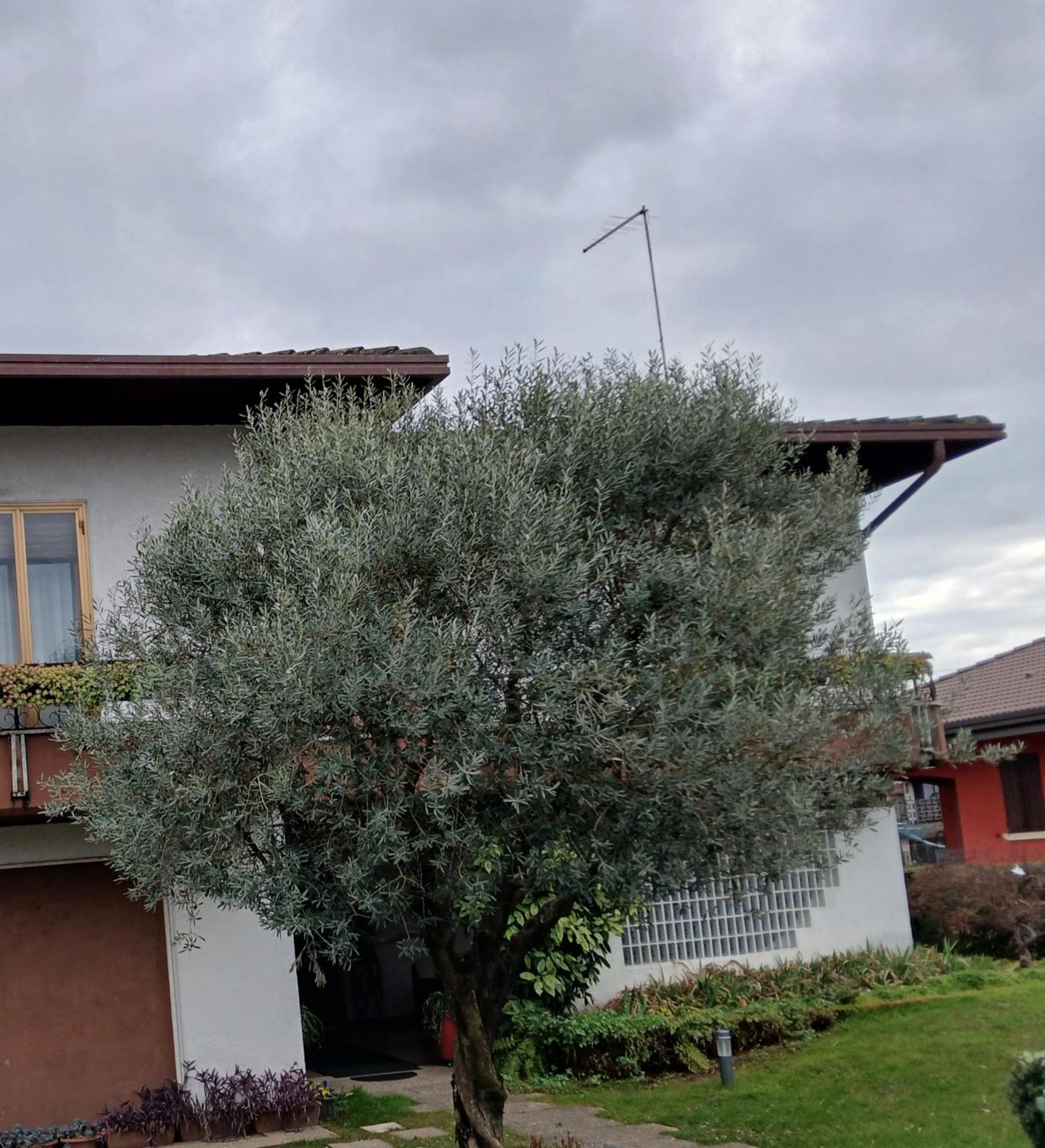 B&B Ponte Marchese Caldogno Exterior foto